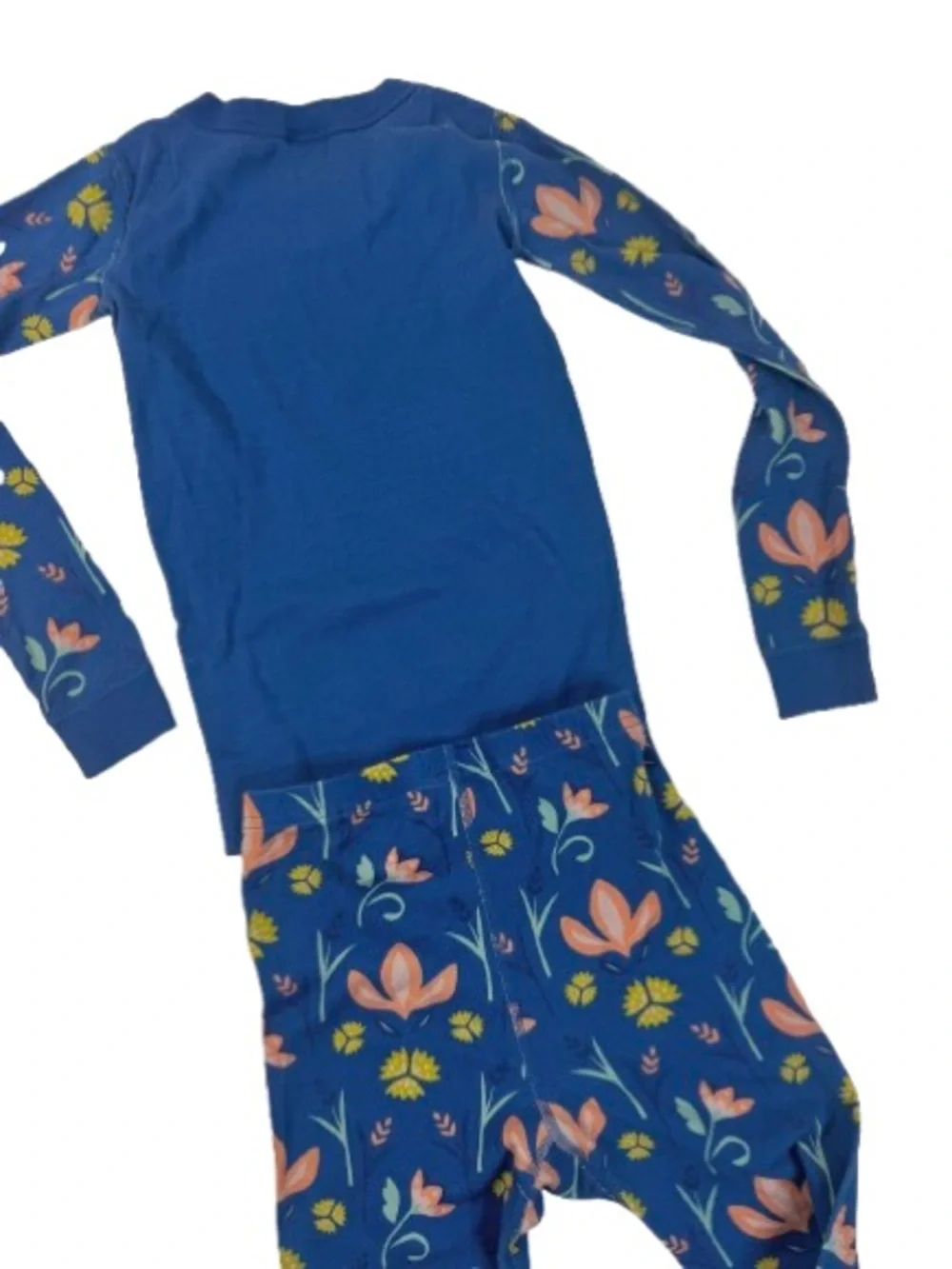 Blue Floral Frozen Anna & Sven Pajama Set